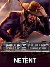 Dead or Alive 2